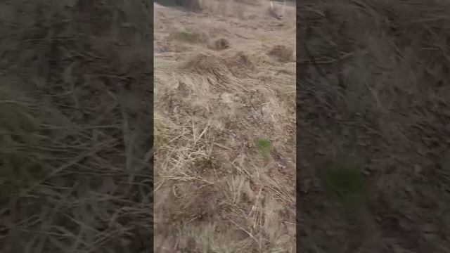 Прогулка с детьми🙂