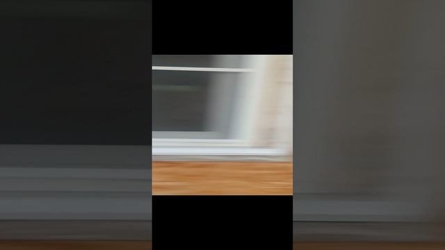 VID_20241117_111243.mp4