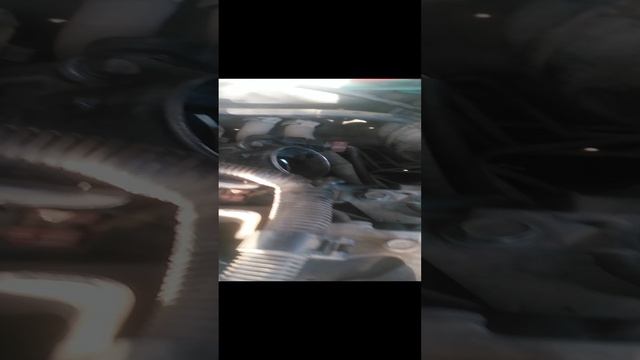 VID_20241118_120526.mp4