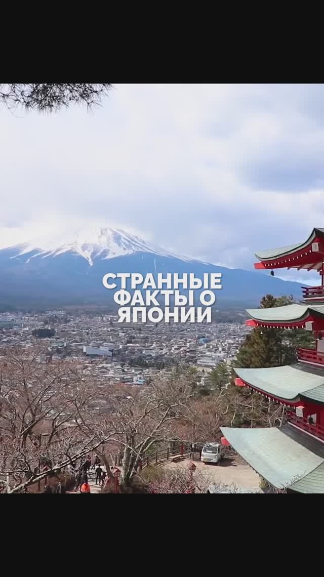 Вы этого точно не знали о Японии!