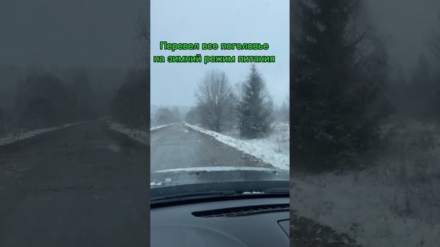 Погода на Валдайской Возвышенности🥶 Кормлю кроликов, овец и коз на ферме.