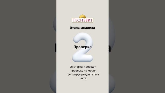 ⁉️ Как проходит анализ состояния производства?