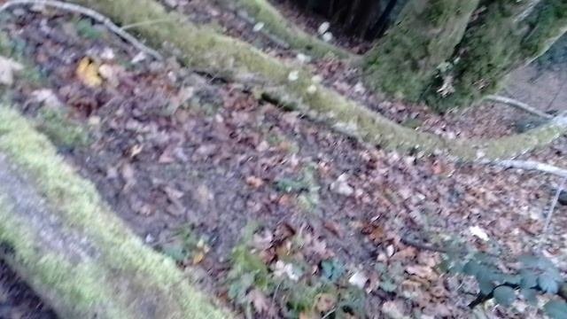 палатка на крутом склоне горы 70-80 градусов