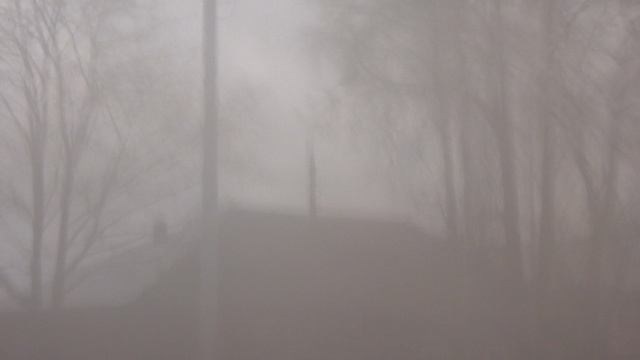 Талдом, автобус 2, участок Дом № 36 - ЗАГС