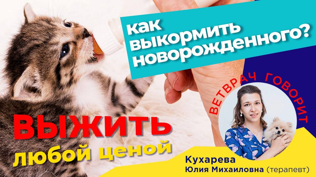 Выжить любой ценой