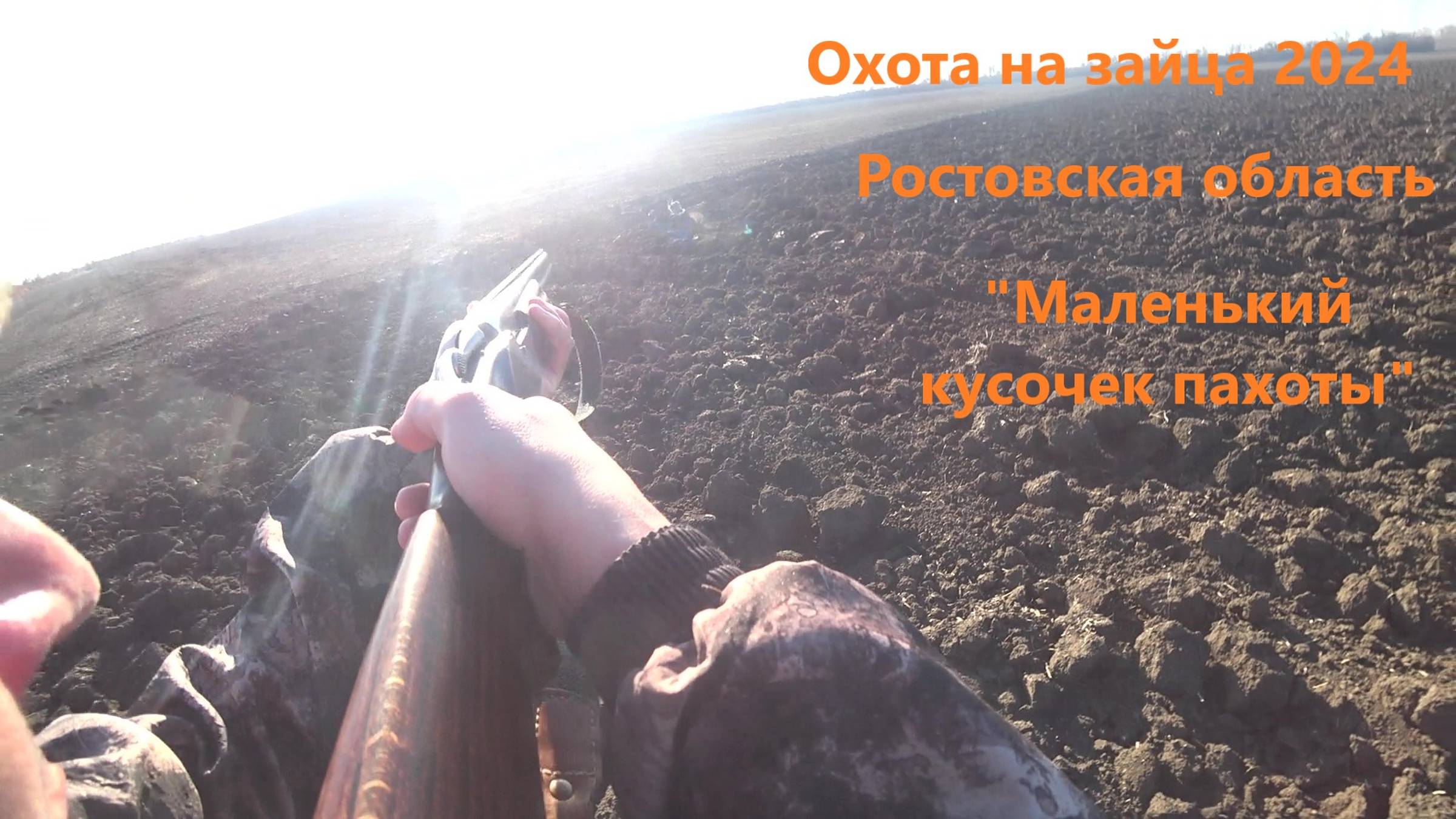 Охота на зайца 2024. Заяц в лежках. Ростовская область