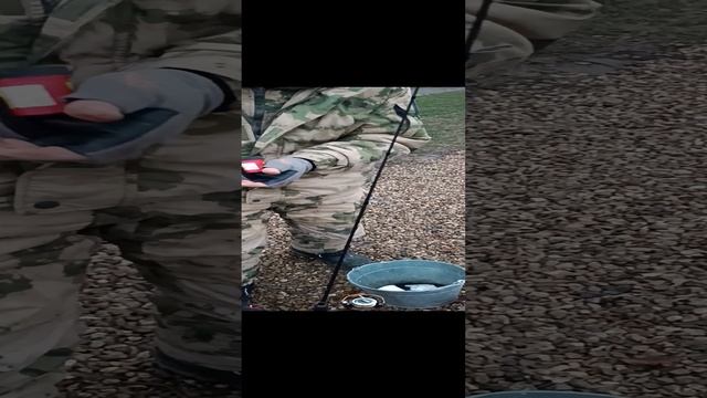 До запуска