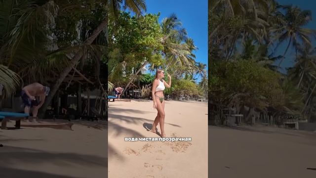 Как выглядит самый классный пляж на Шри-Ланке. #Пляж #море #Шриланка