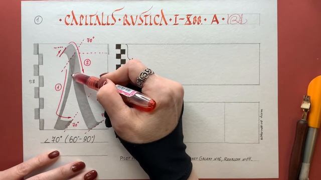 Каллиграфия. Рустика. Пропорции и детализация латинской буквы A. Дарья Романова