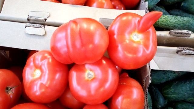 Томат Помидоры Дамские Пальчики Pomodoro. Dita delle signore. Tomatoes Lady fingers