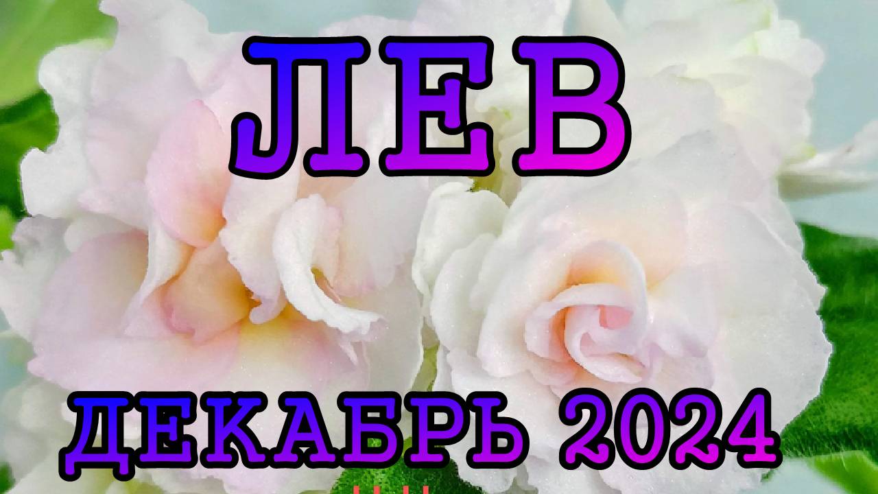 ЛЕВ таро прогноз на ДЕКАБРЬ 2024 года.