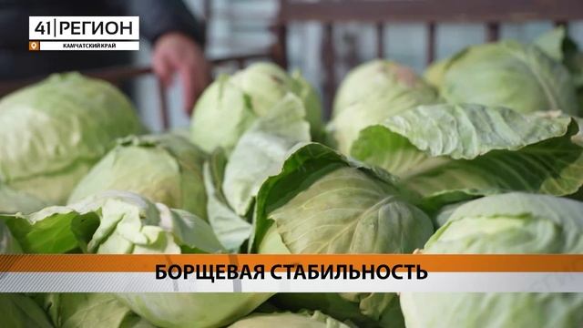 Новости Камчатки за 18 ноября 2024 года