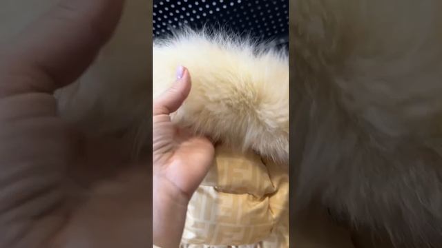 Пуховик Fendi оригинал