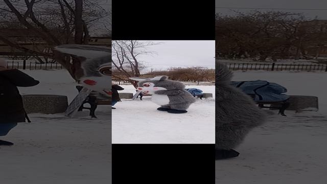 1000047908.mp4