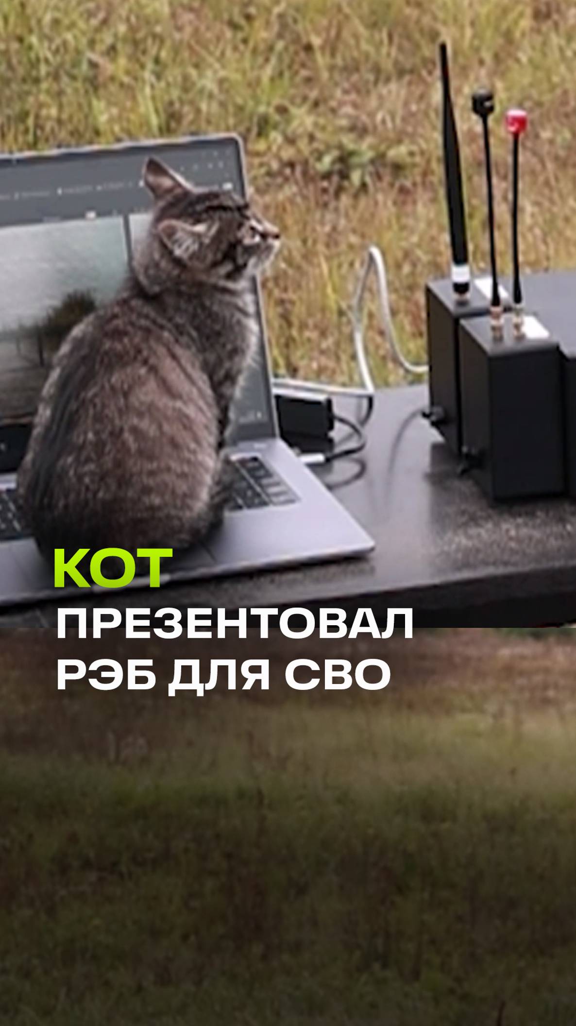Кот принял участие в презентации нового РЭБа для СВО