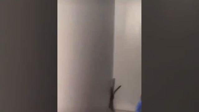 видео, на котором девушка из Австралии показывает гигантского паука, который пробрался к ней в дом.