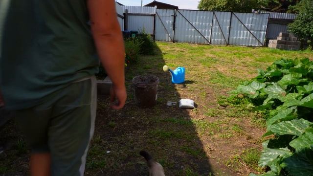 подвал ильича ЖИЗНЬ В ДЕРЕВНЕ