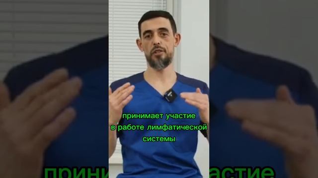 О диафрагме человека