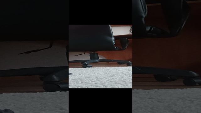 1000001562.mp4