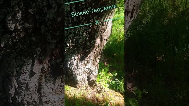 Верте в бога #божье творение #радуйтесь жизни