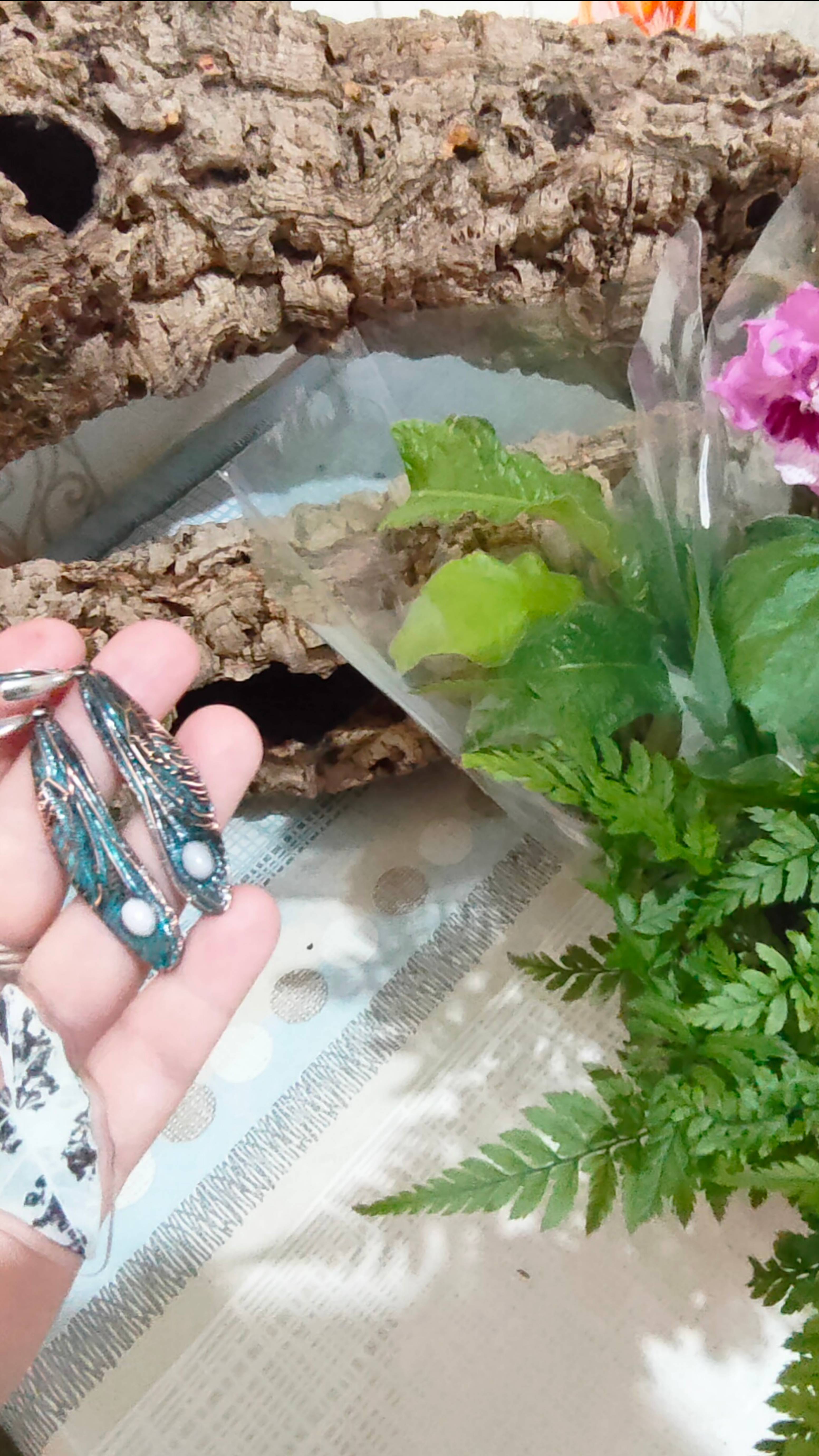 Flora fest 2024. Распаковка)