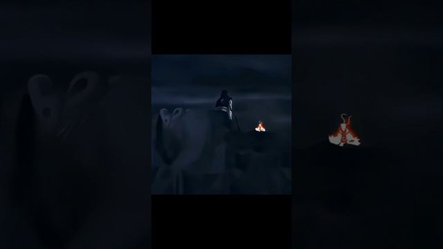 видео на обои