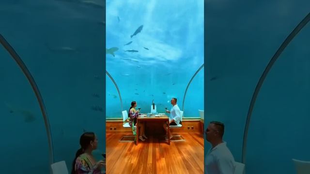 Подводный ресторан отеля Conrad Maldives на острове Рангали, Мальдивы