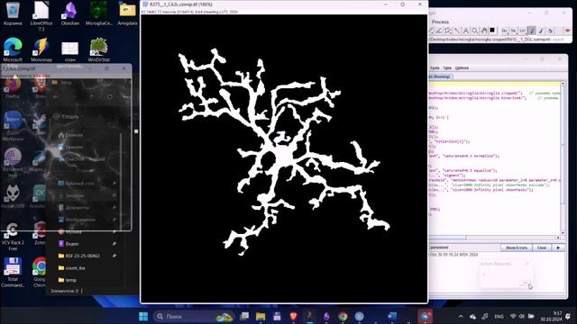 Использование скриптов в ImageJ для обработки изображений микроглии