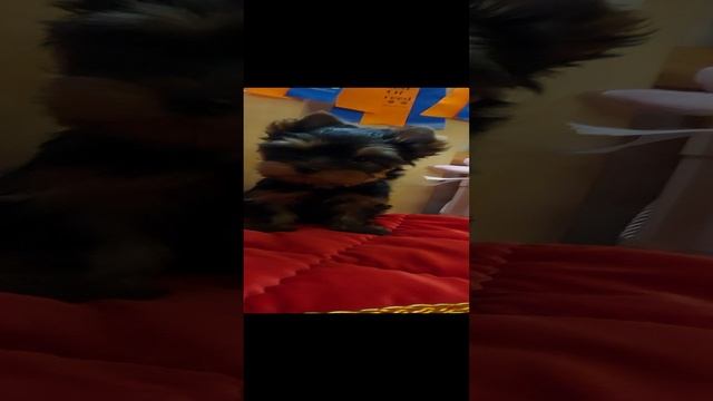 1000094688.mp4