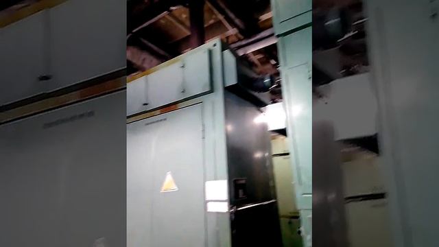 Line Hinterkopf  D30
