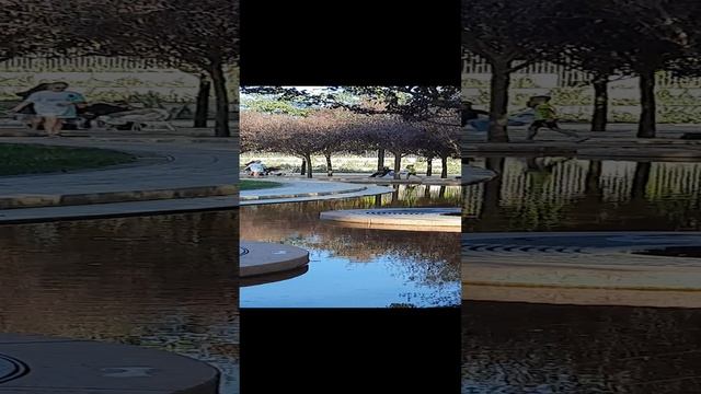 Счастье живет рядом с нами