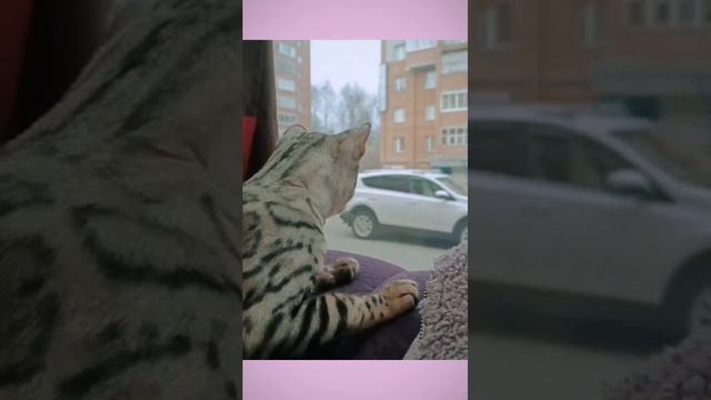 1000049833.mp4