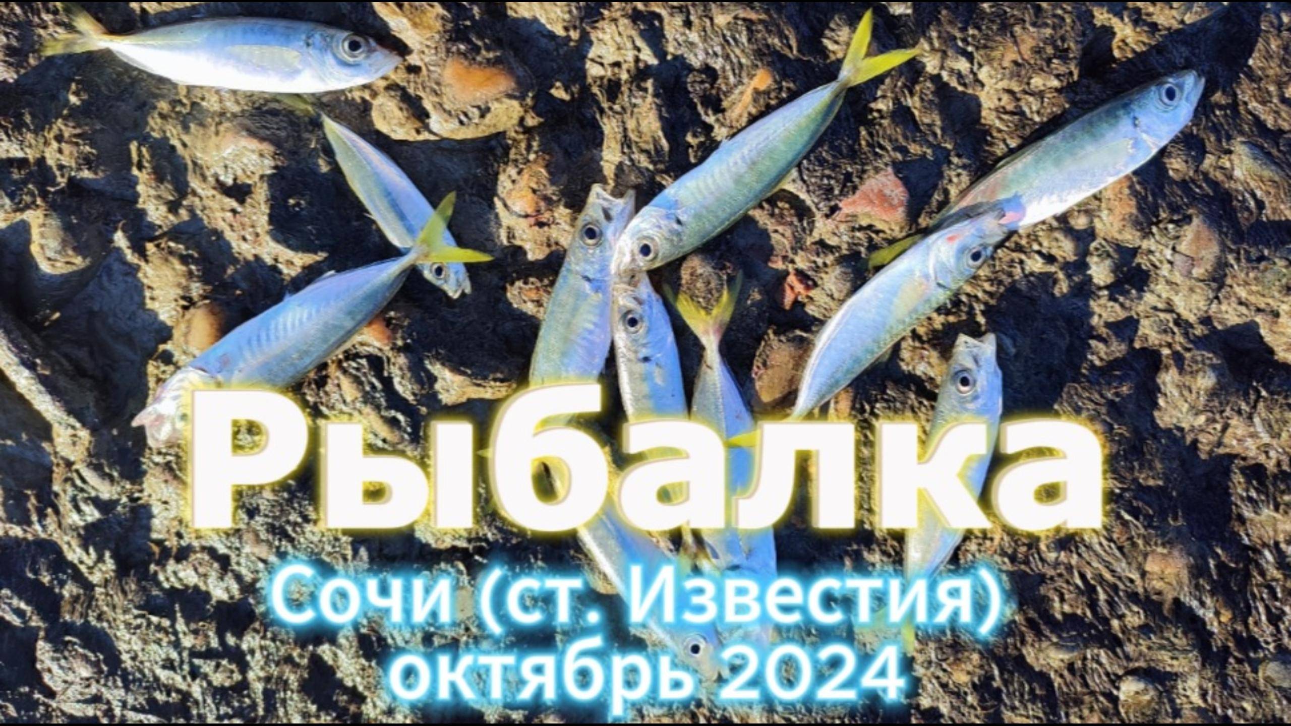 Рыбалка в Сочи ( ст. Известия), октябрь 2024