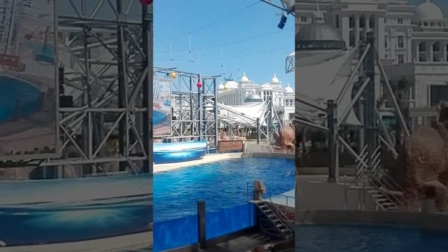 VID 20170423 143800