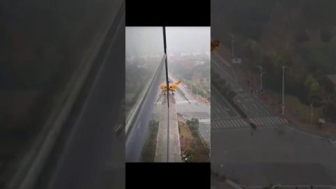 Как такое возможно? Учитывая, что она не летает!