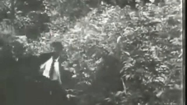 1904. Как французский дворянин нашёл себе жену по объявлению в Нью-Йорке.