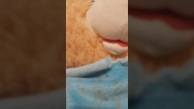 смешные новости