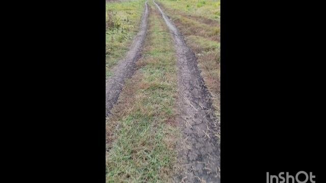 Незнание Божественной истины ведёт нас к блужданиям ума