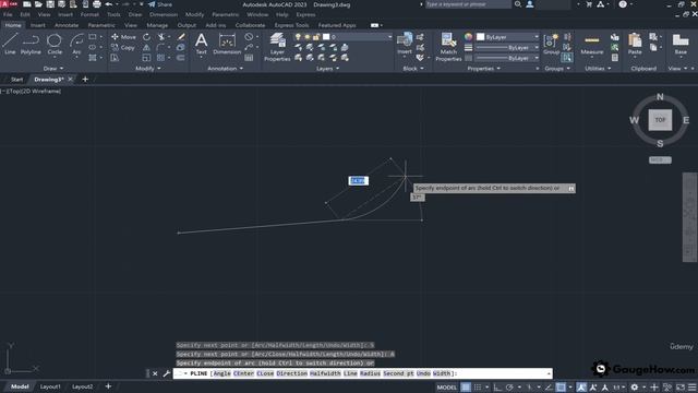 29 - polylines