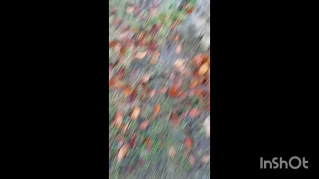 1000067645.mp4