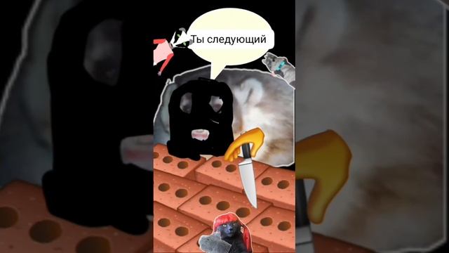 Американские барсуки (чем опасны)
