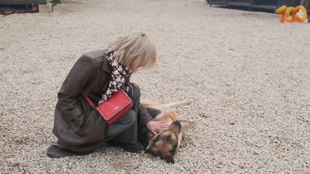 К нам в гости приезжали представители Калужского МТС.