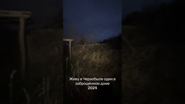 Чернобыль