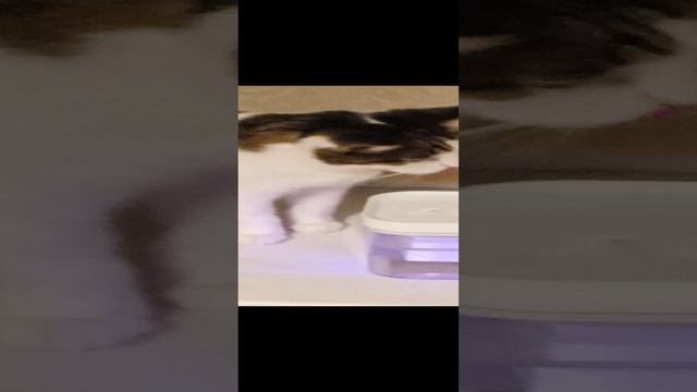 VID_20240217_201627
