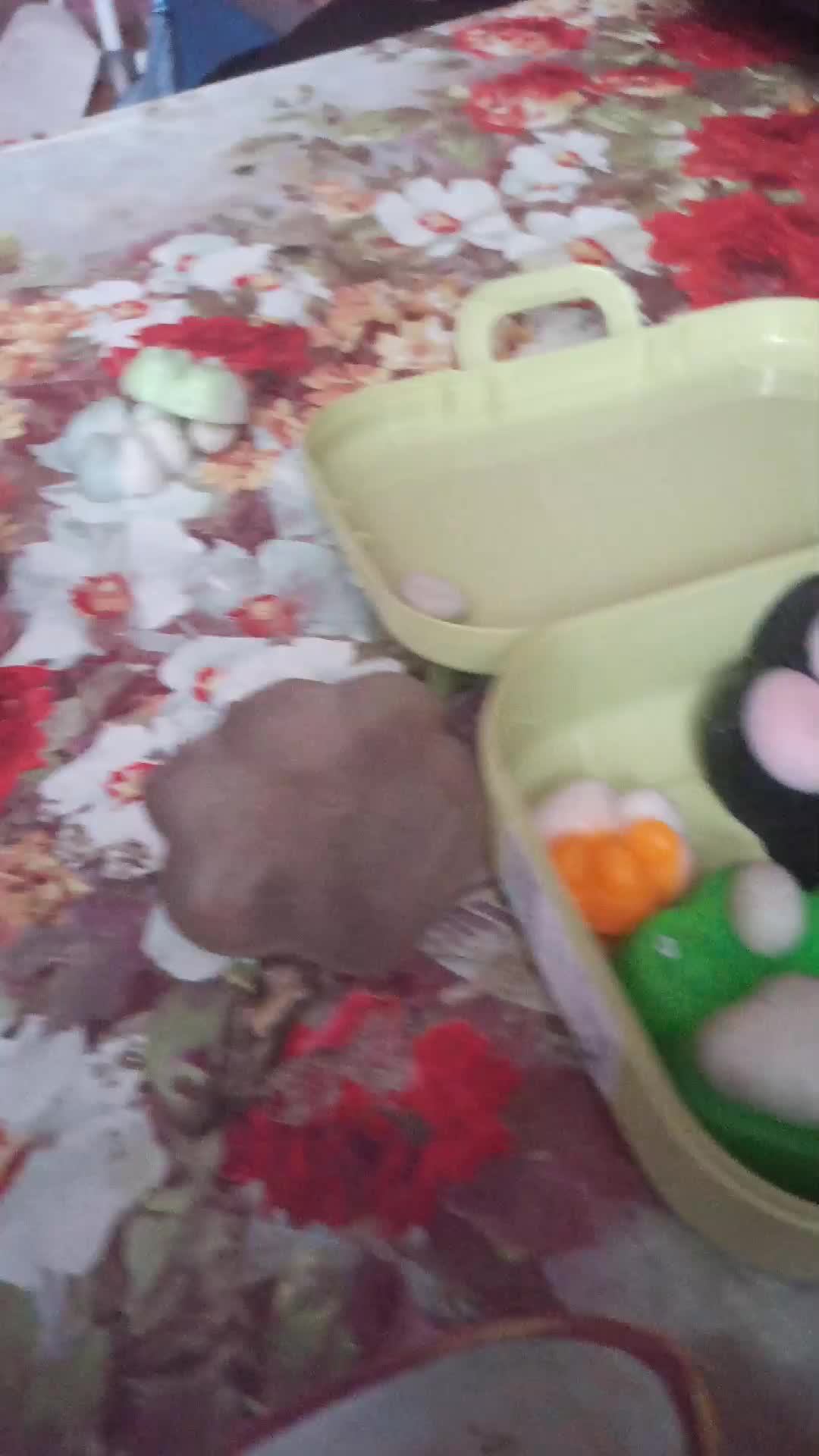 вопрос