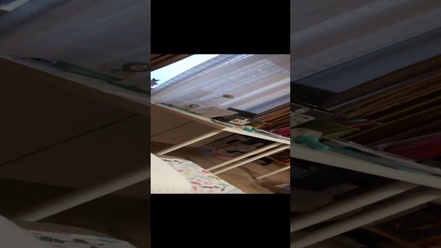 Вот такой вот мини влог🤍