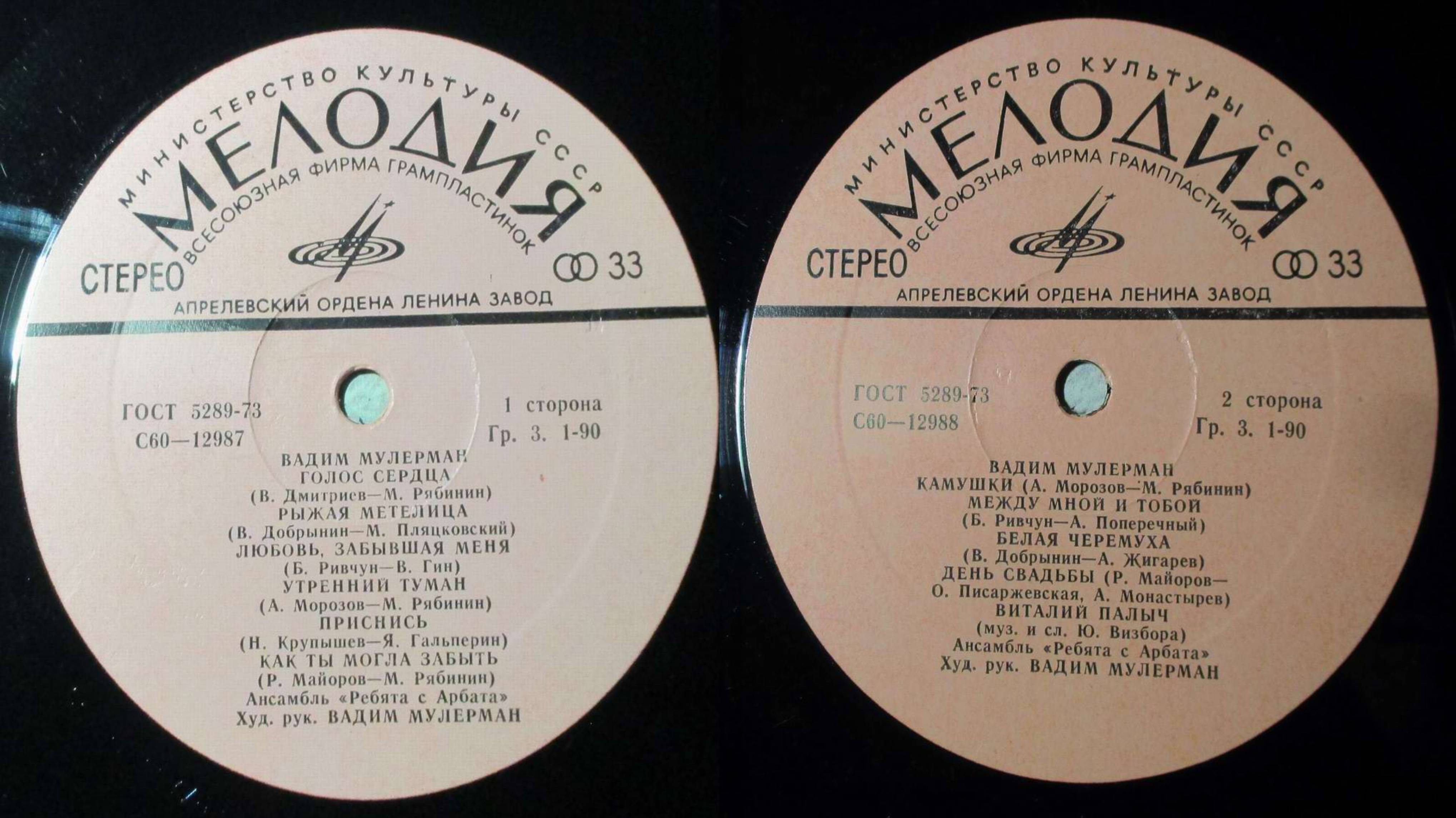 Vinyl Disc LP альбом 1979 года Вадим Мулерман и группа Ребята с Арбата