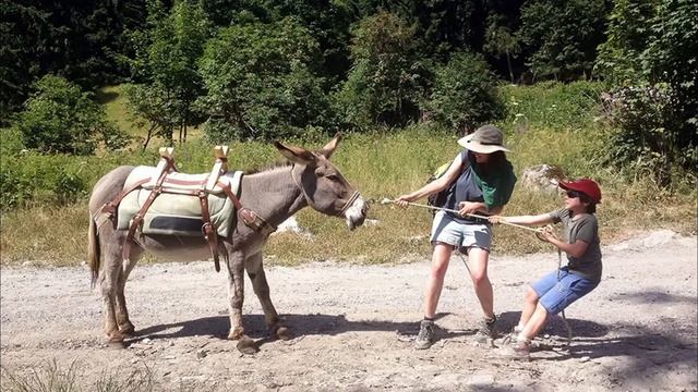 Упрямый ослик | детский рассказ - Кристина Олийник