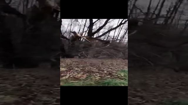 1000033447.mp4