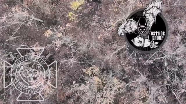 Украинские войска большими силами атаковали позиции ВС РФ в районе поселка Липцы Харьковской области